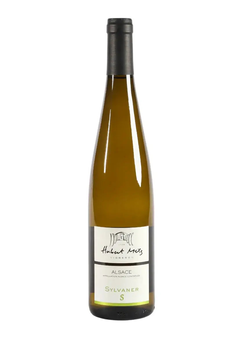 Metz Sylvaner S 2023 - Bio